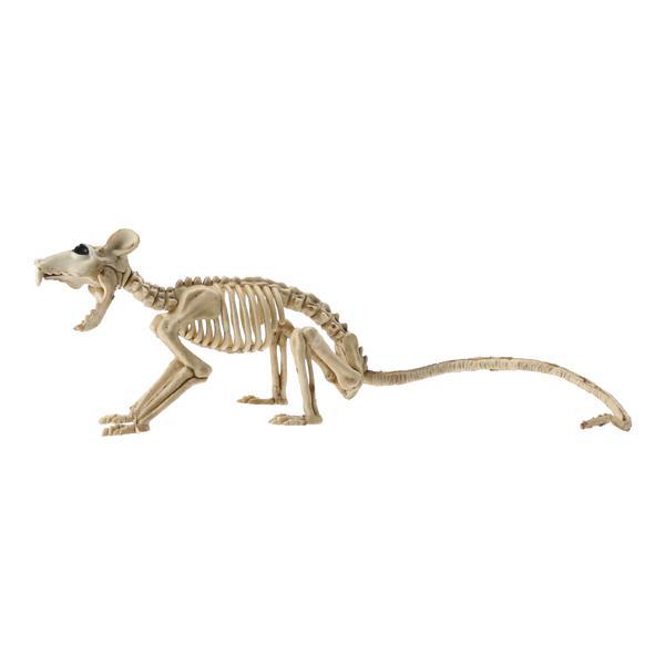 Skelett Ratte 40x10cm